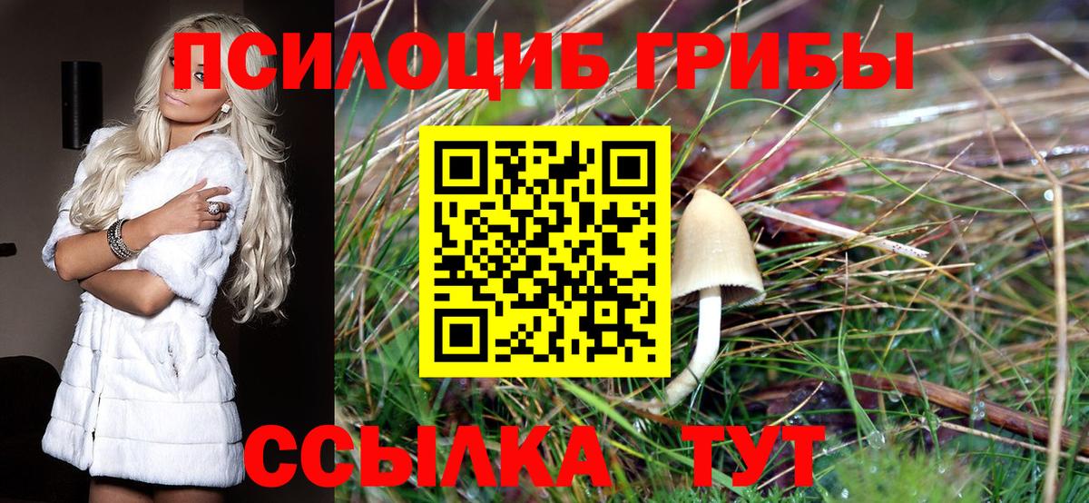 Псилоцибиновые грибы MAGIC MUSHROOMS Кумертау
