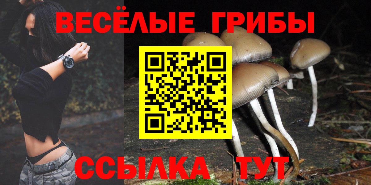 Псилоцибиновые грибы мухоморы  Вход с VPN  купить   Кумертау 
