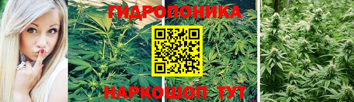 МАРИХУАНА SATIVA & INDICA Кумертау